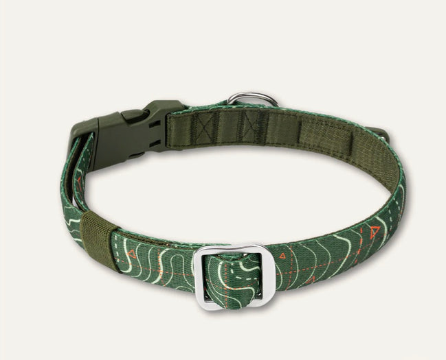 Apex® Collar Nomad