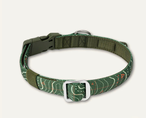 Apex® Collar Nomad