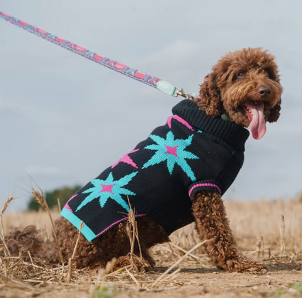 'Stary Night' Dog Jumper