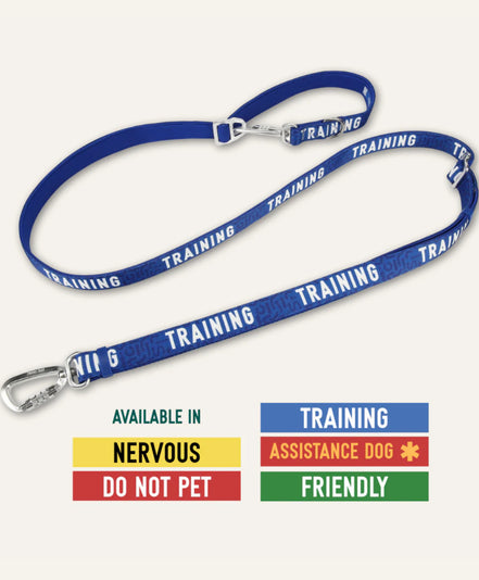 Twiggy Tags Awareness Multi-Way Leads