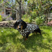 Dachshund Wild Range Fleece Suits with 4 Legs