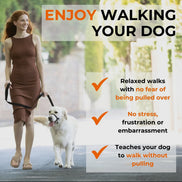 Canny Collar No Pull Dog Head collar - Gentle, Kind, Comfy