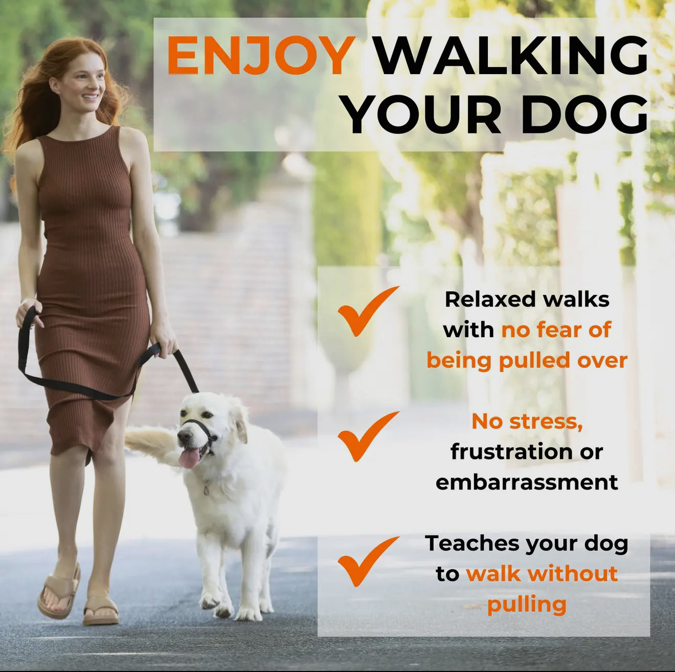 Canny Collar No Pull Dog Head collar - Gentle, Kind, Comfy