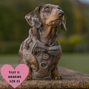 Bailey & Coco Trail & Glow Tweed Dog Harness - Colour Drops - Heritage Plaid