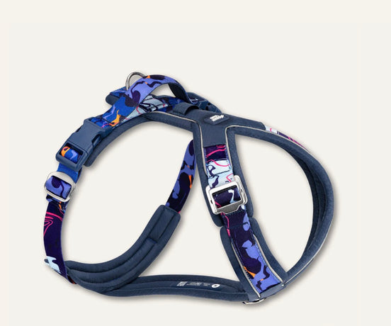 Twiggy Tags Nebula Apex Harness