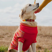 'New Horizons' Dog Jumper