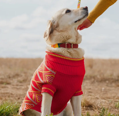 'New Horizons' Dog Jumper