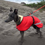 Sherpa - Fleece Lined Sighthound Coat - Harness Hole - No Velcro