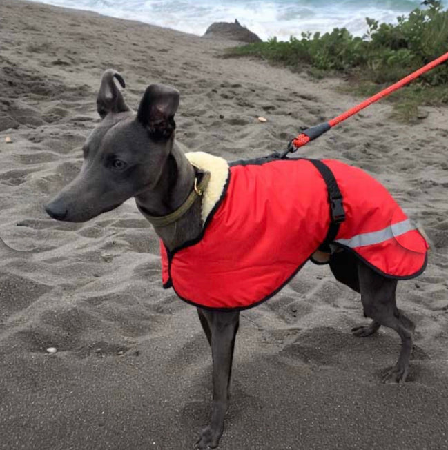 Sherpa - Fleece Lined Sighthound Coat - Harness Hole - No Velcro