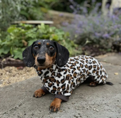 Dachshund Wild Range Fleece Suits with 4 Legs
