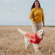 'New Horizons' Dog Jumper