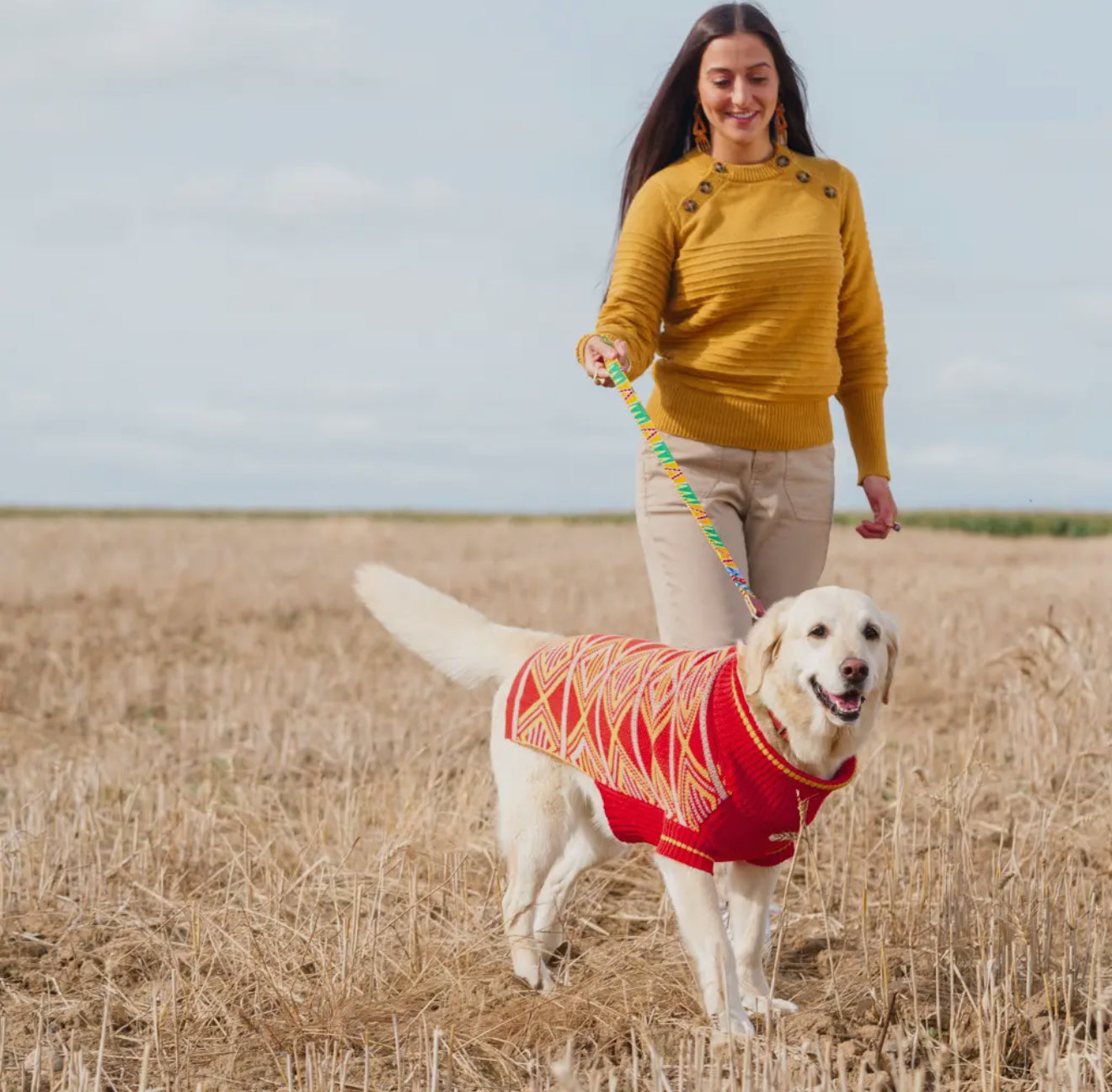 'New Horizons' Dog Jumper