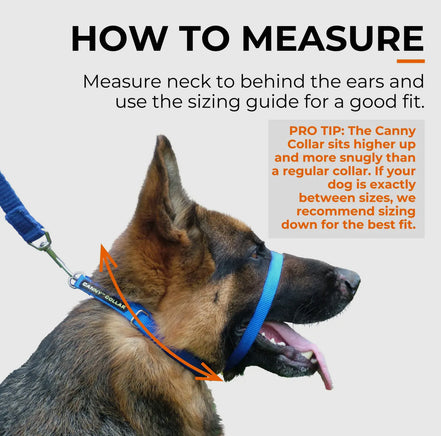 Canny Collar No Pull Dog Head collar - Gentle, Kind, Comfy