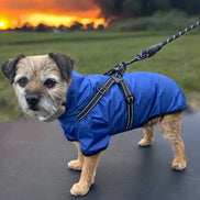 Verano - Lightweight Waterproof Dog Coat with Built in Harness