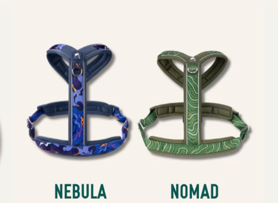 Twiggy Tags Nebula Apex Harness