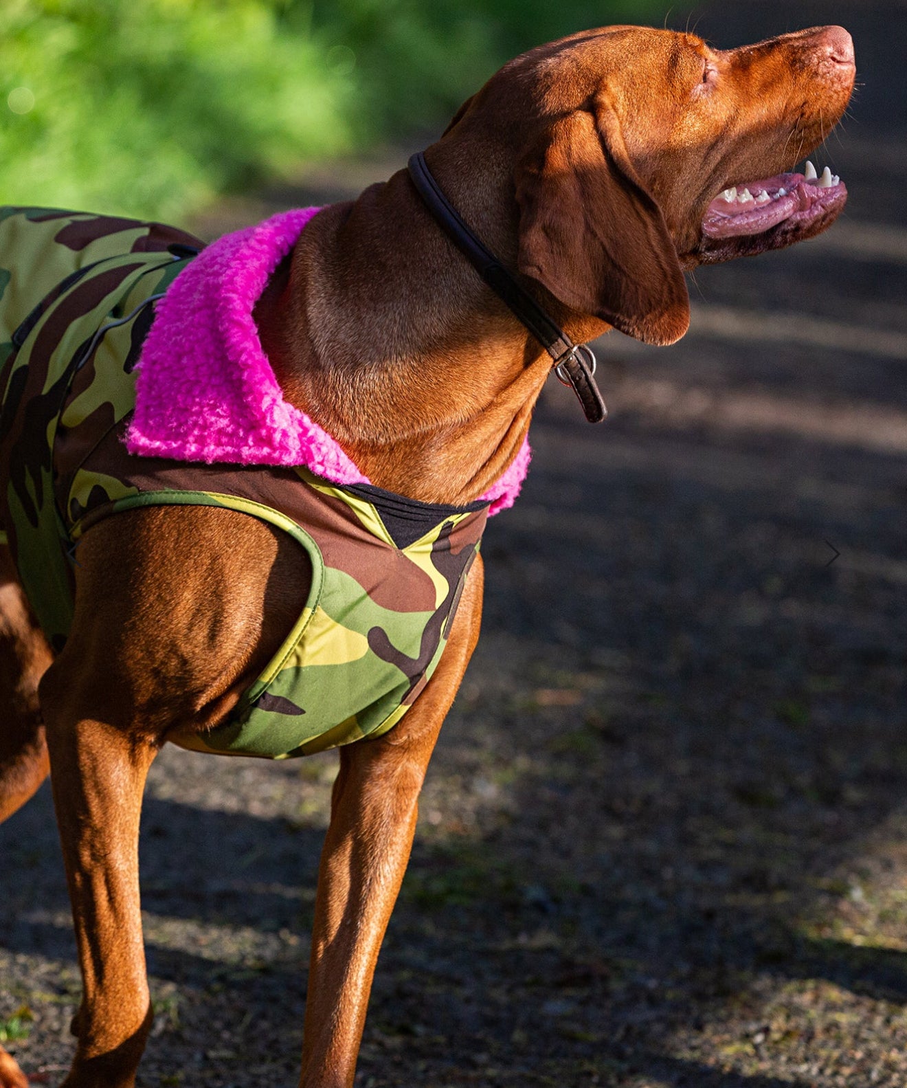 Dryrobe® Dog Camo Green/Pink