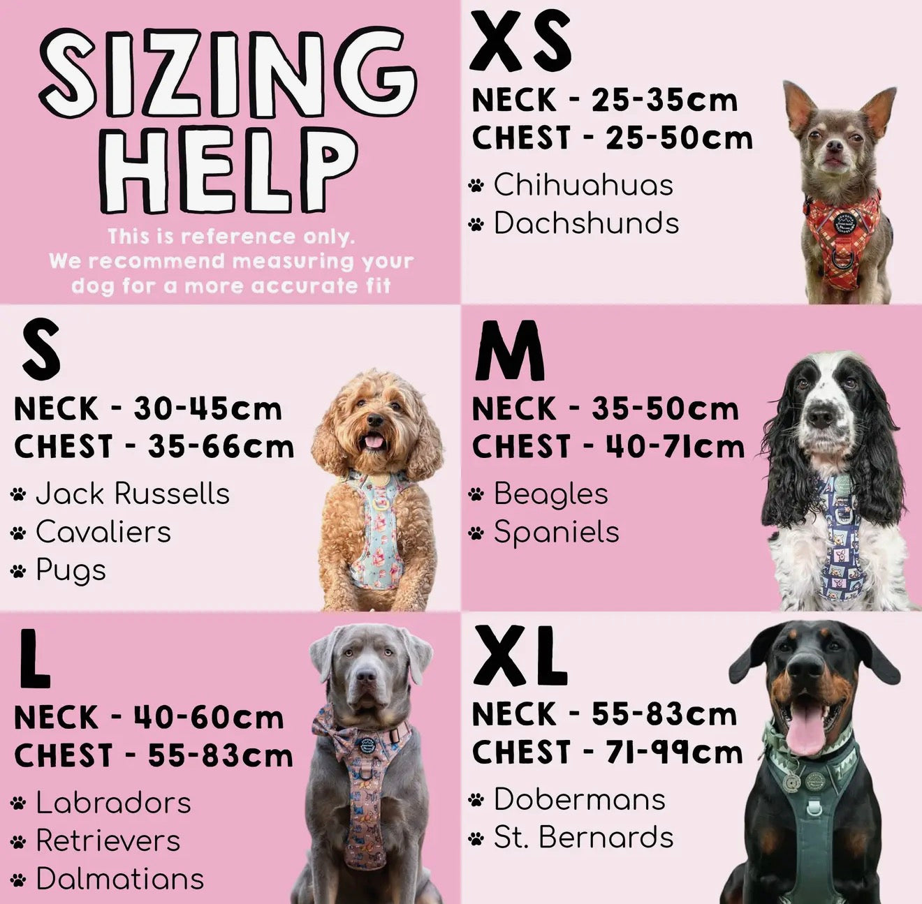 Disney© Tough Trails™ Harness - Slinky