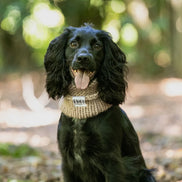 Hetty and Huxley Luxury Hand Knitted Dog Snood