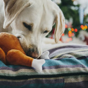 Christmas Roast Turkey Plush Toy