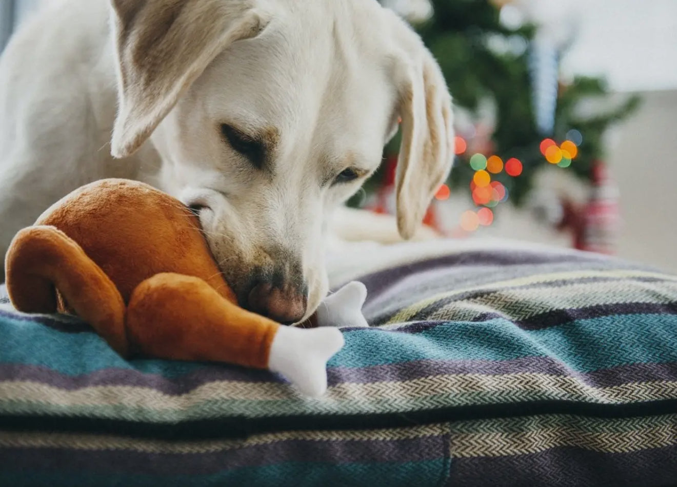 Christmas Roast Turkey Plush Toy