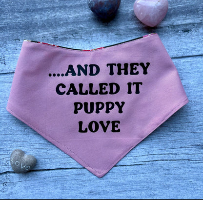 Valentines ‘and they called it puppy love…’ Bandana