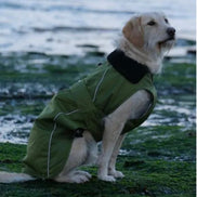 Dryrobe® Dog Green/Black
