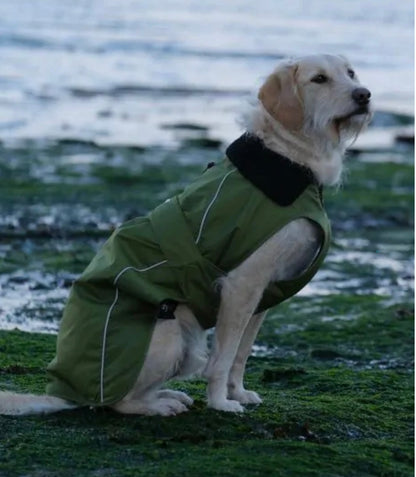 Dryrobe® Dog Green/Black