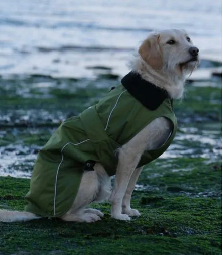 Dryrobe® Dog Green/Black