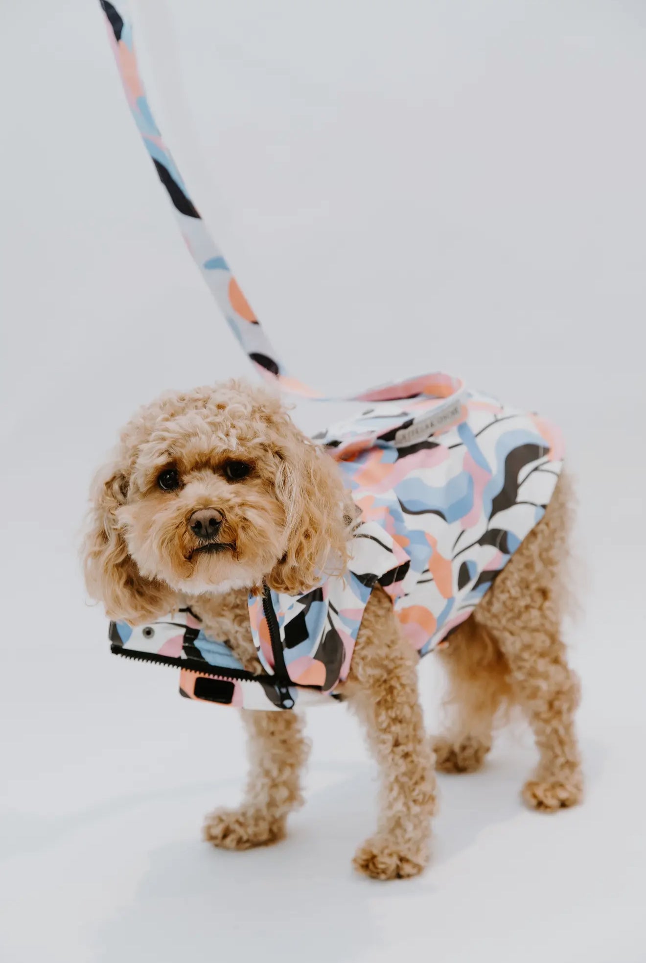 Leaf Dog Rain Jacket