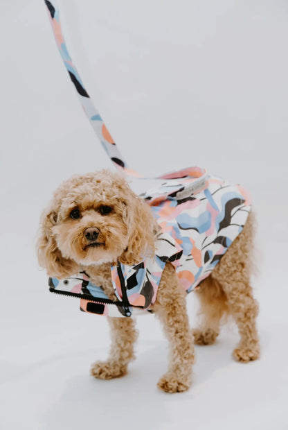Leaf Dog Rain Jacket