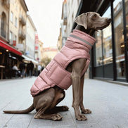 Quilted/Padded Dog coat with Underbelly Protection