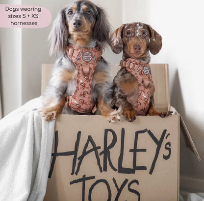 Disney© Tough Trails™ Harness - Slinky