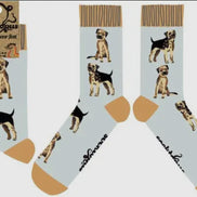 Border Terrier Socks - Borderline Obsessed
