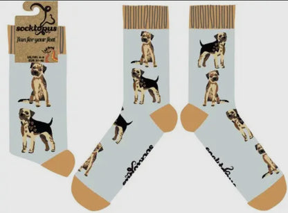 Border Terrier Socks - Borderline Obsessed