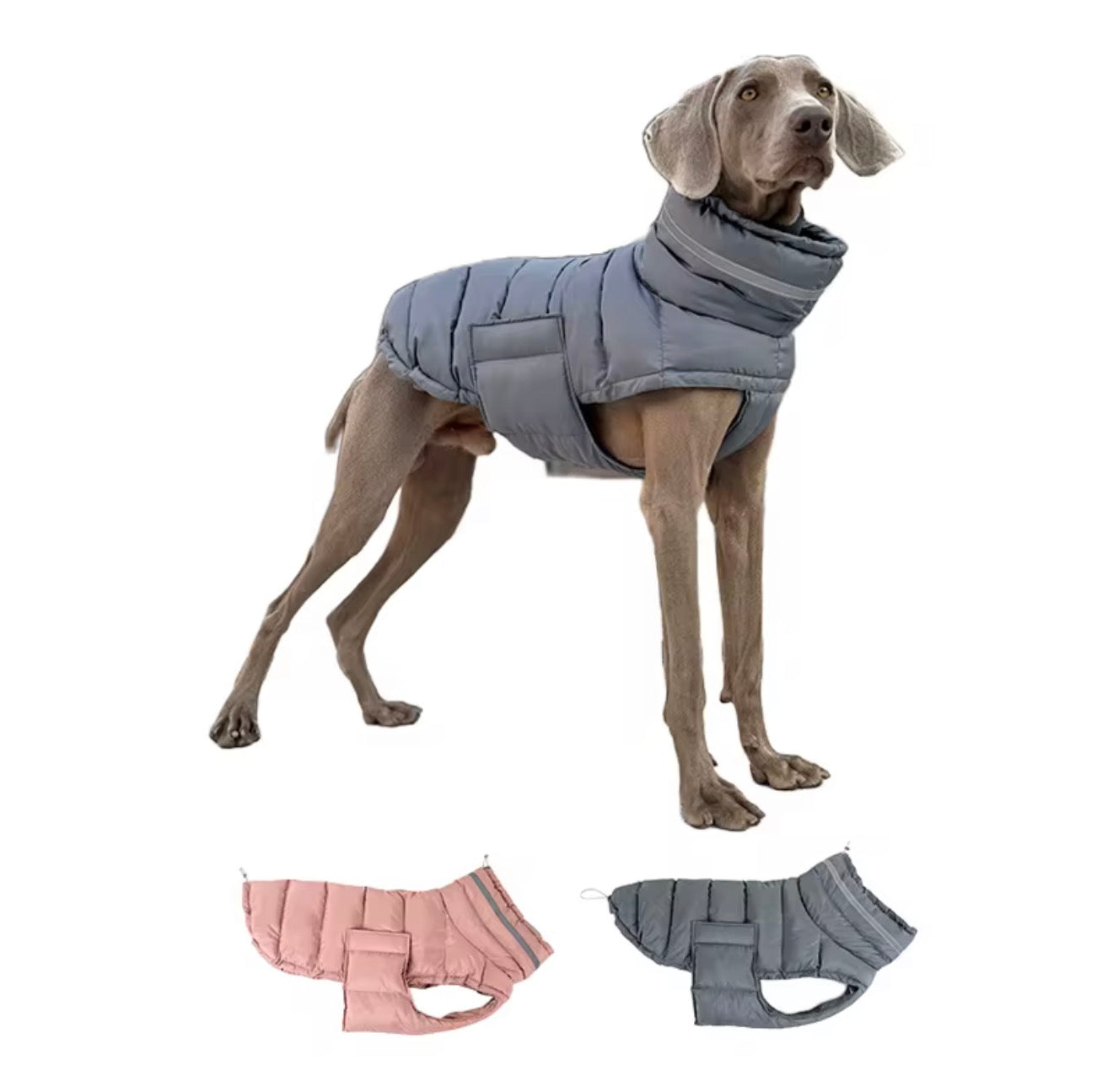 Quilted/Padded Dog coat with Underbelly Protection