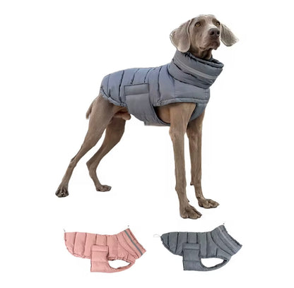 Quilted/Padded Dog coat with Underbelly Protection