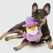 Sirius Quack - Dog Toy