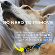 Canny Collar No Pull Dog Head collar - Gentle, Kind, Comfy