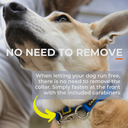 Canny Colossus No Pull Dog Headcollar - Large, Giant Breeds