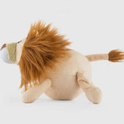 Big Five of Africa - Lion