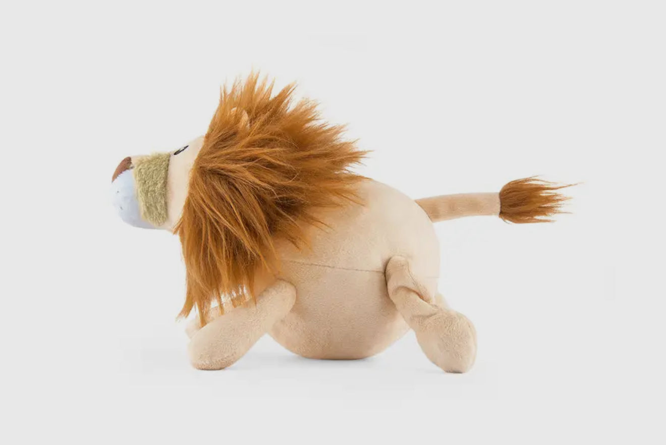 Big Five of Africa - Lion
