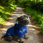 Verano - Lightweight Waterproof Dog Coat with Built in Harness