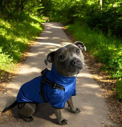 Verano - Lightweight Waterproof Dog Coat with Built in Harness