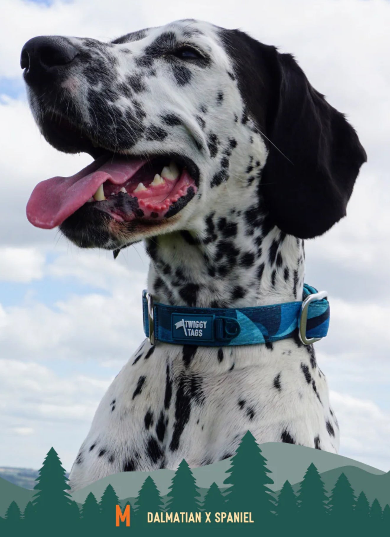 Lagoon Comfort Collar