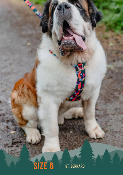 Aurora Adventure Harness 2.0