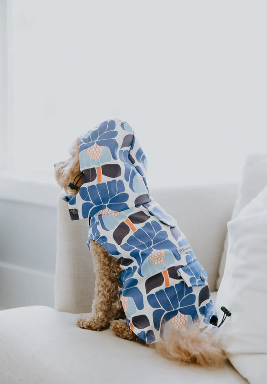 Floral Dog Rain Jacket