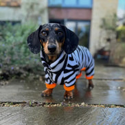 Dachshund Wild Range Fleece Suits with 4 Legs