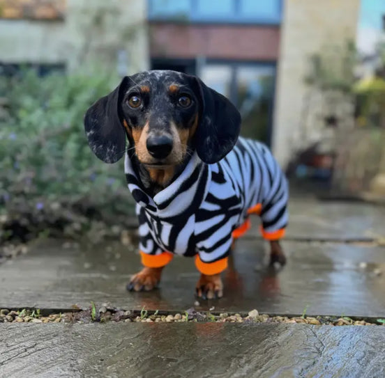 Dachshund Wild Range Fleece Suits with 4 Legs