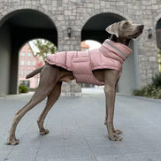 Quilted/Padded Dog coat with Underbelly Protection