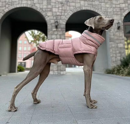 Quilted/Padded Dog coat with Underbelly Protection